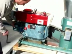 Pabrik Pelet Pakan Ternak Mesin Diesel Untuk Pembuatan Pelet Pakan Unggas