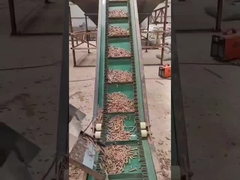 Mesin Pelet Kayu Ring Die 50HZ Mesin Pembuat Pelet Vertikal 3 Fase 450-700mm