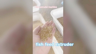 Ekstruder pakan ikan proses basah