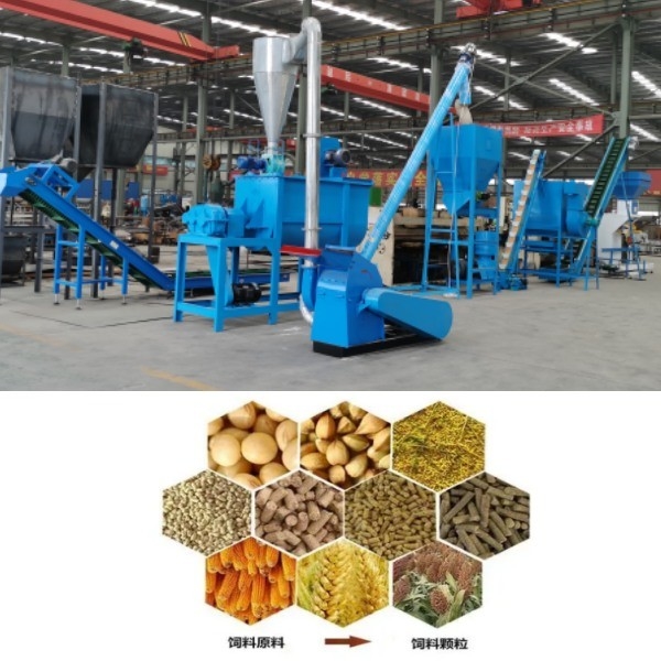 Lini Produksi Pelet Pabrik Pelet Makanan Unggas Domba Daging Sapi Ayam Lini Produksi Pelet Pakan