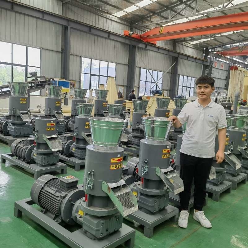 Flat Die 300-800kg / H Biomassa Pabrik Pelet Kayu Mesin Pelet Serbuk Gergaji Dengan Sertifikat CE