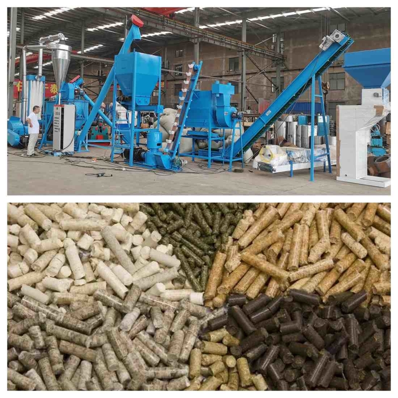 Lini Produksi Pelet Pakan Ternak 1000kg/Jam Granulator Pelet Pakan 1-12mm