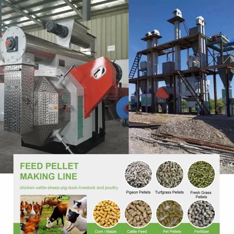 100kg Sampai 10 Ton Mesin Pabrik Pelet Lini Produksi Pelet Pakan Ternak Bahan Bakar Biomassa