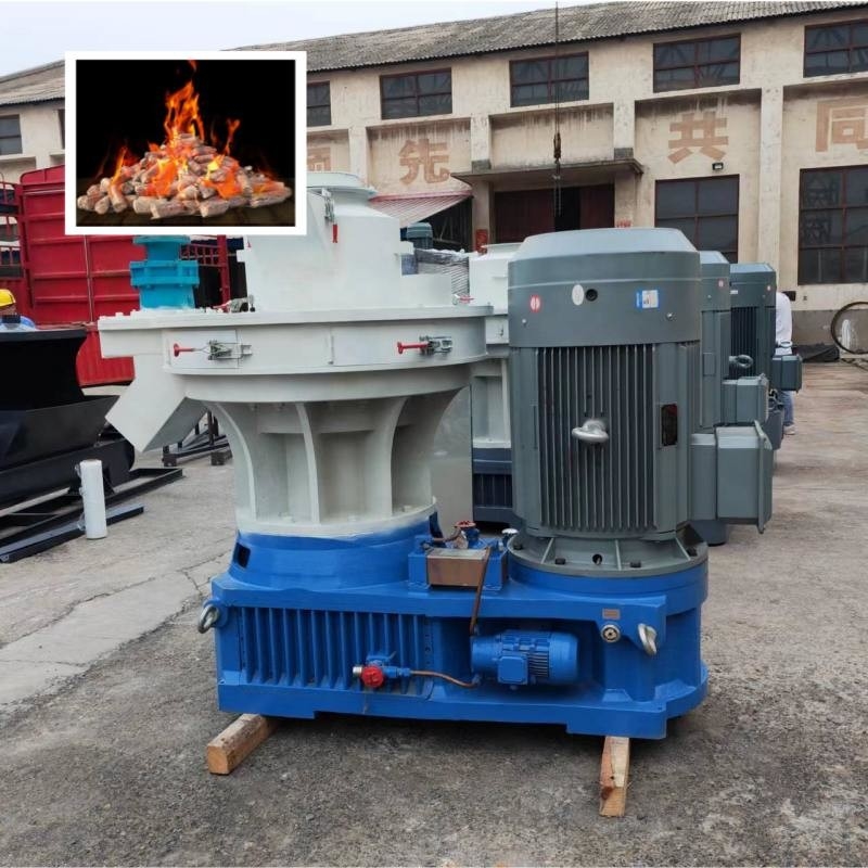 1t/H Ring Die Pabrik Pelet Kayu Biofuel Untuk Pelet Kayu Limbah Serpihan Kayu