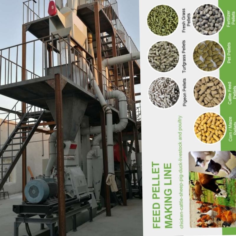1-5 Ton/H Mesin Pembuat Pakan Ayam Mati Cincin Pabrik Pelet Horisontal