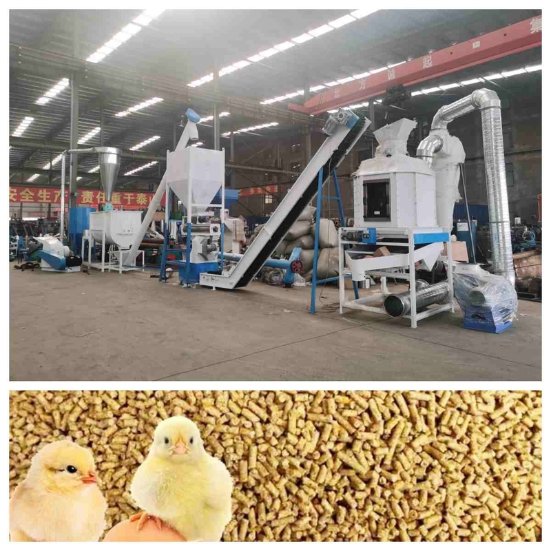 Lini Produksi Pelet Pakan CE 5t/H Mesin Pelet Pakan Mati Cincin Dengan Pembangkit Uap
