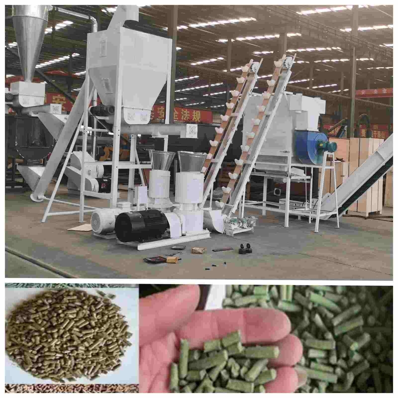 Mesin Pelet Unggas Otomatis 2ton/H Mesin Pembuat Pelet 2.5mm Untuk Pakan Unggas