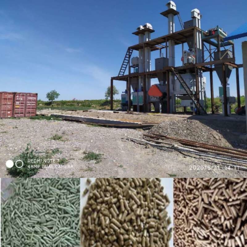 Lini Produksi Pelet Pakan Ternak CE Ring Die 1-10 TPH Mesin Pelet Pakan Kelinci