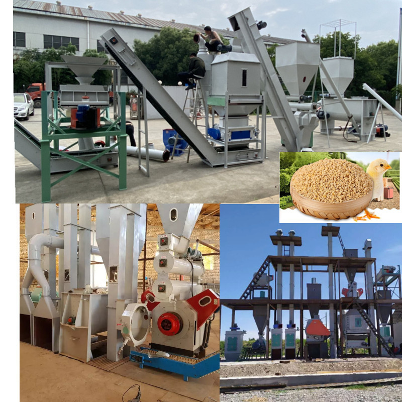 Lini Produksi Pellet Umpan Efisiensi Tinggi Campuran Renyah Crush Granulate Cold Screen & Pack