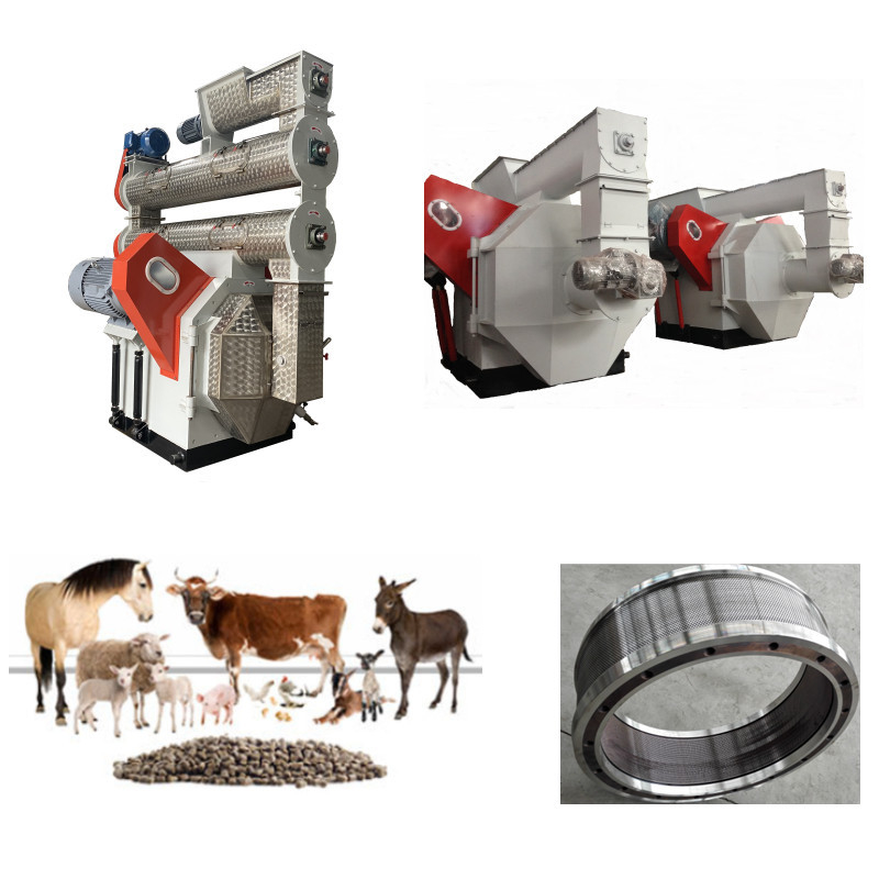 Lini Produksi Pellet Umpan Efisiensi Tinggi Campuran Renyah Crush Granulate Cold Screen & Pack
