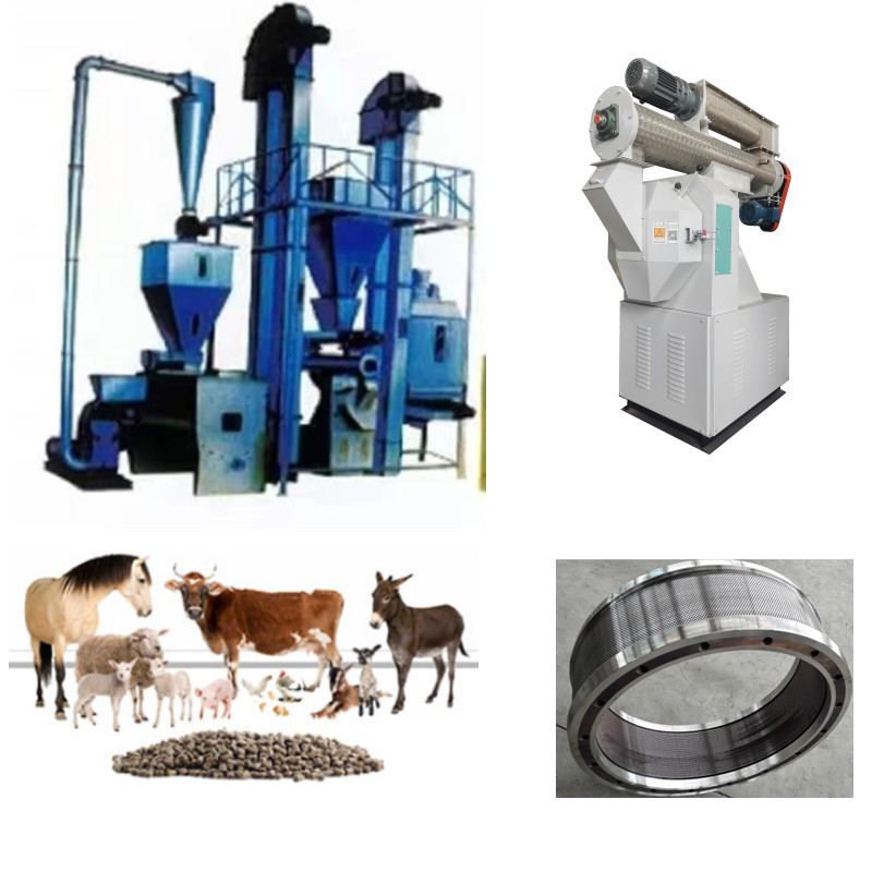 Lini Produksi Pellet Umpan Efisiensi Tinggi Campuran Renyah Crush Granulate Cold Screen & Pack