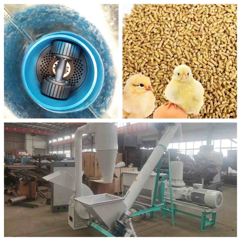Pembuat Pelet Pakan Mati Datar 300kg/Jam -1000Kg/Jam Lini Produksi Pelet Pakan Ternak Kecil