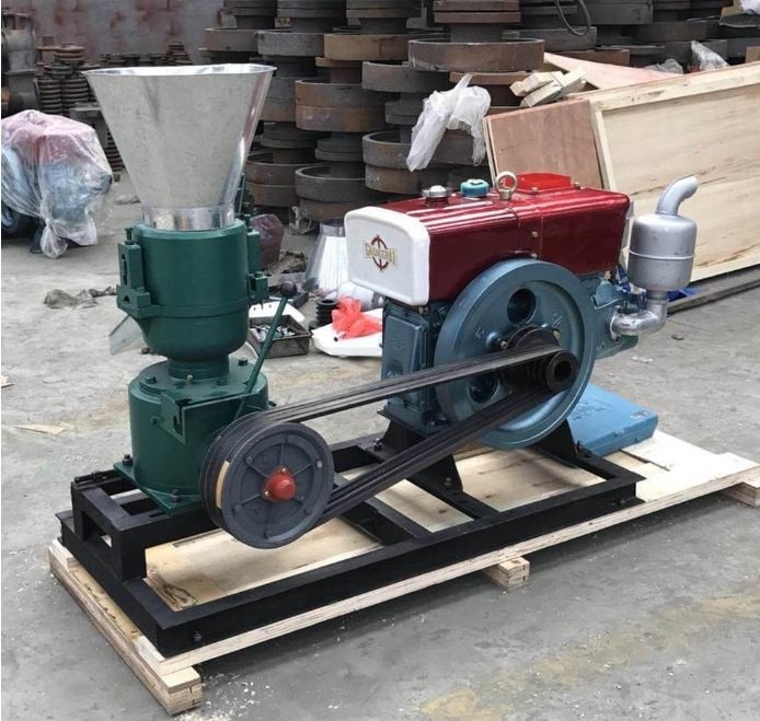 22HP Feed Pellet Mill Warna Disesuaikan Untuk Makanan Ayam
