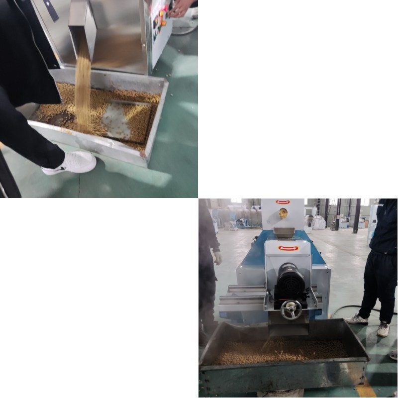 Pengekstrusi Makanan Ikan Tipe Kering Otomatis Pemanasan Listrik Untuk Produksi Berskala Besar