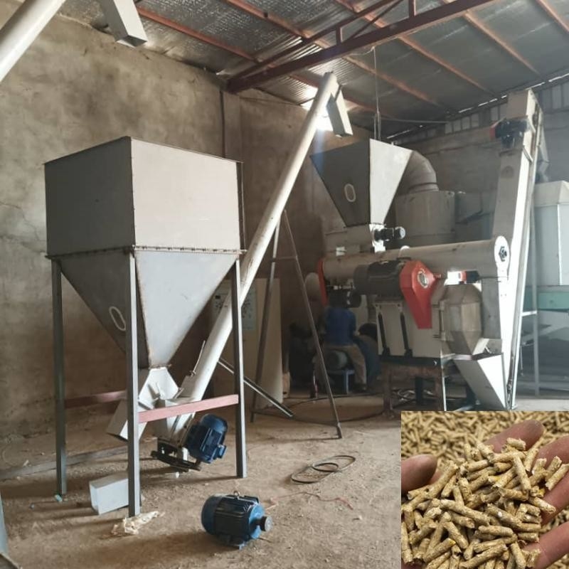 Hewan Feed Pellet Produksi Baris Hewan Breeding Feed Pelletizing Mesin Membuat Pellet Untuk Makanan Hewan