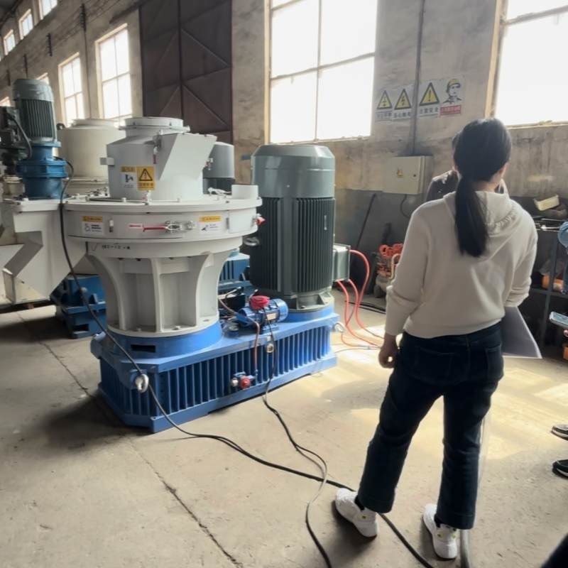 Pohon Chip Biomass Briquetting Chaff Straw Biomass Fuel Produksi Peralatan Biomass Briquetting Mesin