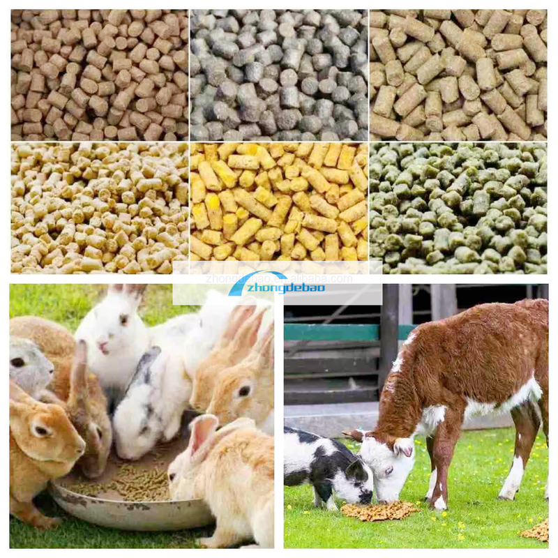 600-800 KG/H output ikan pabrik pakan hewan anjing dan kucing peralatan pellet pakan makanan mesin peletizer ekstruder
