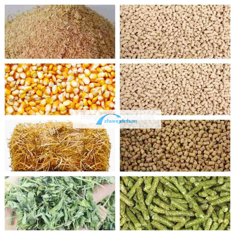 600-800 KG/H output ikan pabrik pakan hewan anjing dan kucing peralatan pellet pakan makanan mesin peletizer ekstruder