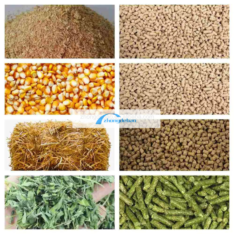 300-400 KG/H Pet Food Pellet Machine Dengan Produktivitas Tinggi Diesel Tipe Pellet Mill Machine