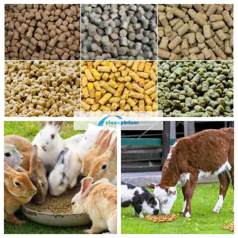300-400 KG/H Pet Food Pellet Machine Dengan Produktivitas Tinggi Diesel Tipe Pellet Mill Machine