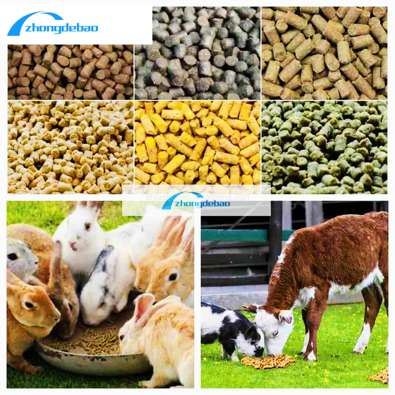 Desain Baru 10HP Diesel Tipe Feed Pellet Mesin 90kg / h Mesin Pabrik Pakan Hewan