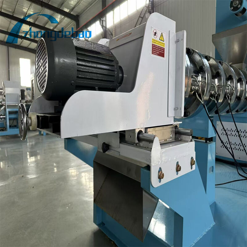 Extruder Pellet Feed DGP100 Untuk Produksi Pakan Ikan Terapung Dengan Kontrol Otomatis Untuk Pabrik Akuakultur Komersial