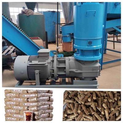 400-600kg/H Mesin Pabrik Pelet Kayu Pribadi Biomassa Untuk Membuat Pelet Kayu