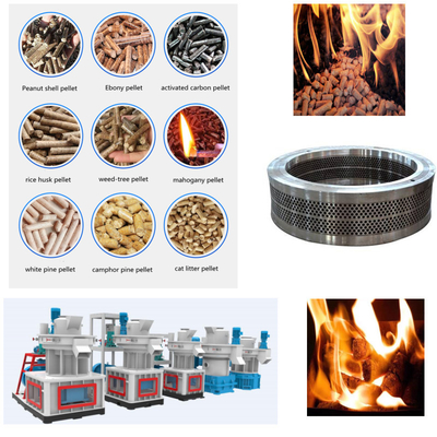Mesin Pelet Kayu 55-160kw Mesin Pelet Pakan Diameter 4-12mm