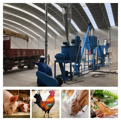 Mesin Pembuat Pelet Makanan Hewan 30kw Pabrik Pelet Pakan Ternak Perawatan Rendah