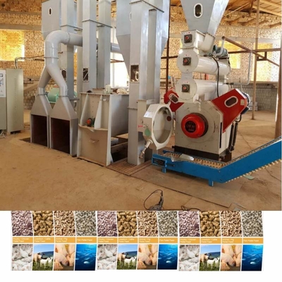 Binatang Unggas Ayam Pakan Sapi Pellet Processing Line Untuk Komersial